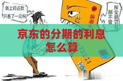 京东的分期的利息怎么算