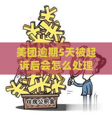 美团逾期5天被起诉后会怎么处理