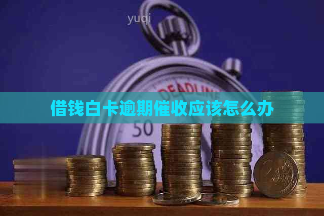 借钱白卡逾期应该怎么办