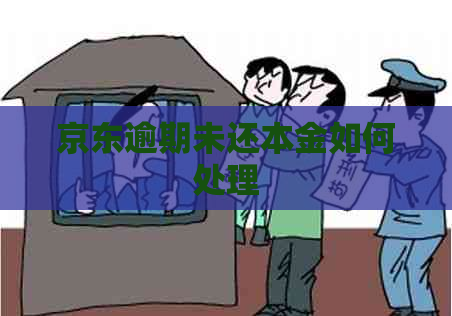 京东逾期未还本金如何处理