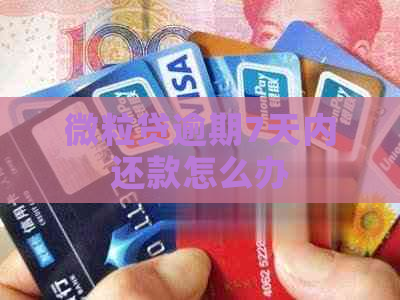 微粒贷逾期7天内还款怎么办