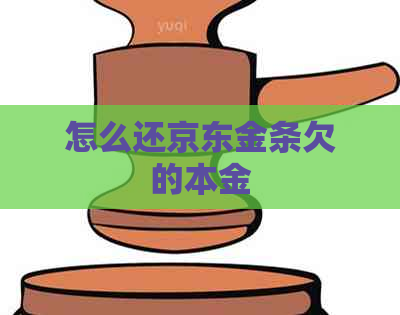 怎么还京东金条欠的本金