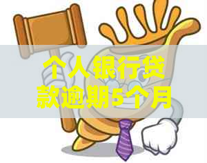 个人银行贷款逾期5个月