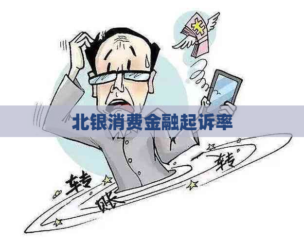 北银消费金融起诉率