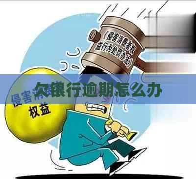欠银行逾期怎么办