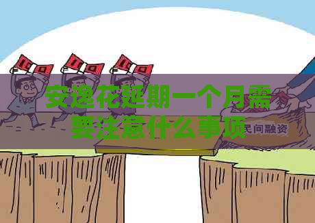 安逸花延期一个月需要注意什么事项