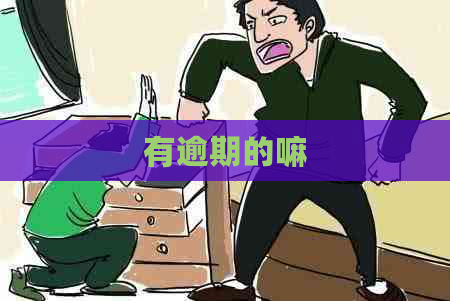 有逾期的嘛
