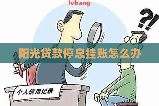 阳光贷款停息挂账怎么办