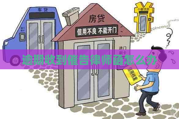 逾期收到催告律师函怎么办