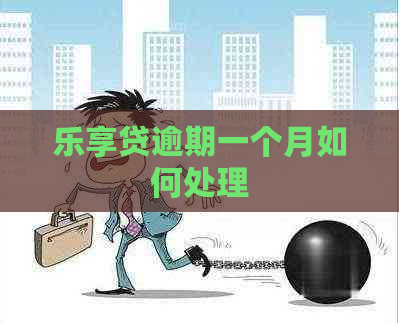乐享贷逾期一个月如何处理