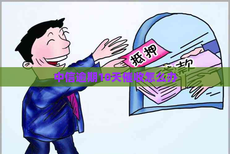 中信逾期10天怎么办