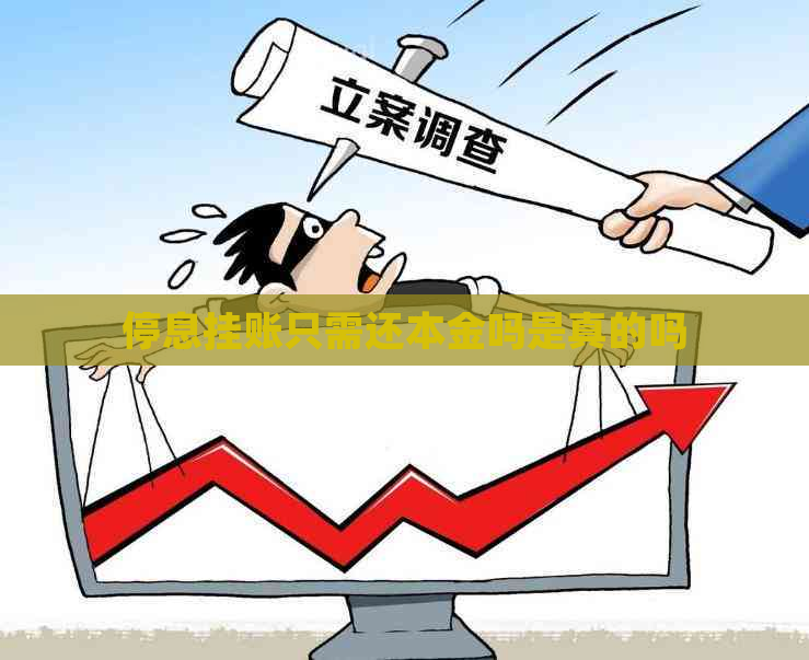 停息挂账只需还本金吗是真的吗