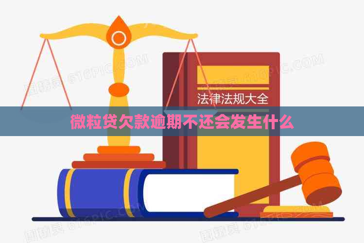 微粒贷欠款逾期不还会发生什么
