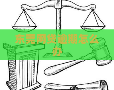 东莞网贷逾期怎么办