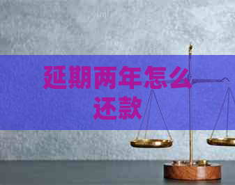 延期两年怎么还款