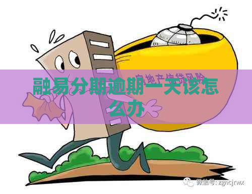 融易分期逾期一天该怎么办