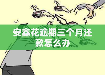 安鑫花逾期三个月还款怎么办
