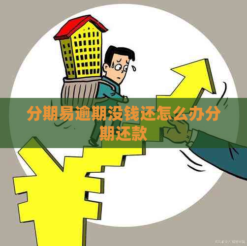 分期易逾期没钱还怎么办分期还款