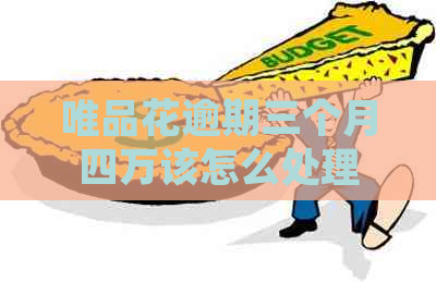 唯品花逾期三个月四万该怎么处理