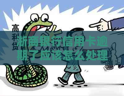 浙商银行信用卡逾期了应该怎么处理