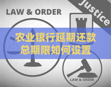 农业银行延期还款总期限如何设置