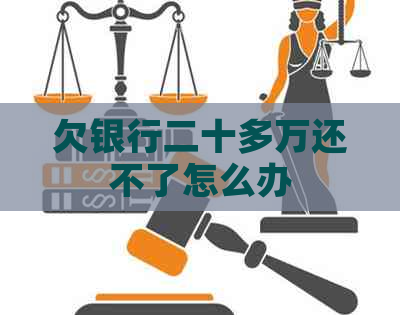 欠银行二十多万还不了怎么办