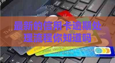 最新的信用卡逾期处理流程你知道吗