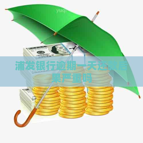浦发银行逾期一天还款后果严重吗