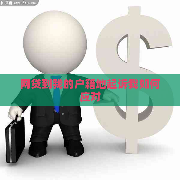 网贷到我的户籍地起诉我如何应对