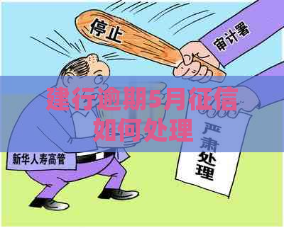 建行逾期5月如何处理