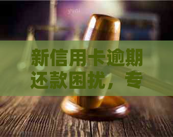 新信用卡逾期还款困扰，专家指导协商解决上门问题