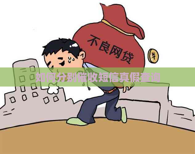 如何分别短信真假查询