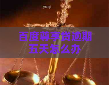 百度尊享贷逾期五天怎么办