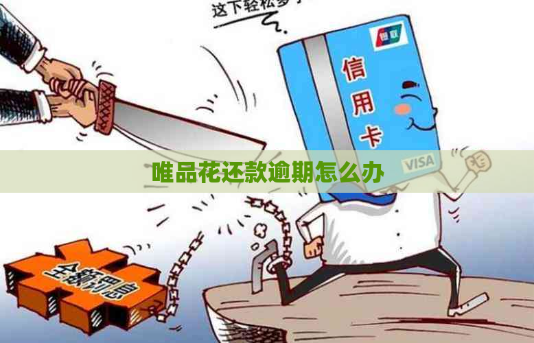 唯品花还款逾期怎么办