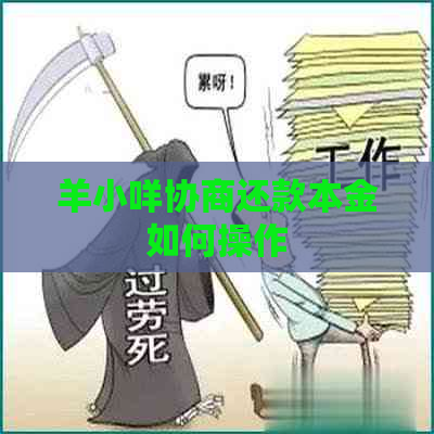 羊小咩协商还款本金如何操作