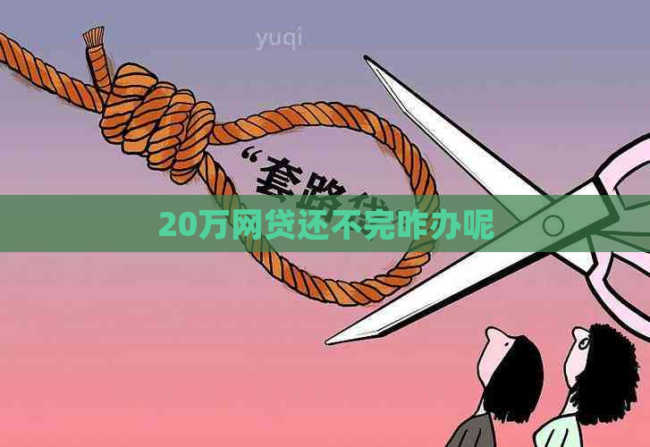 20万网贷还不完咋办呢