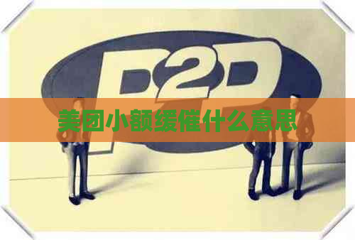 美团小额缓催什么意思