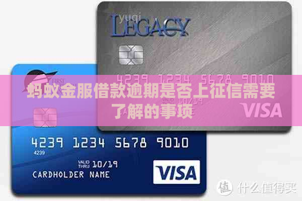蚂蚁金服借款逾期是否上需要了解的事项