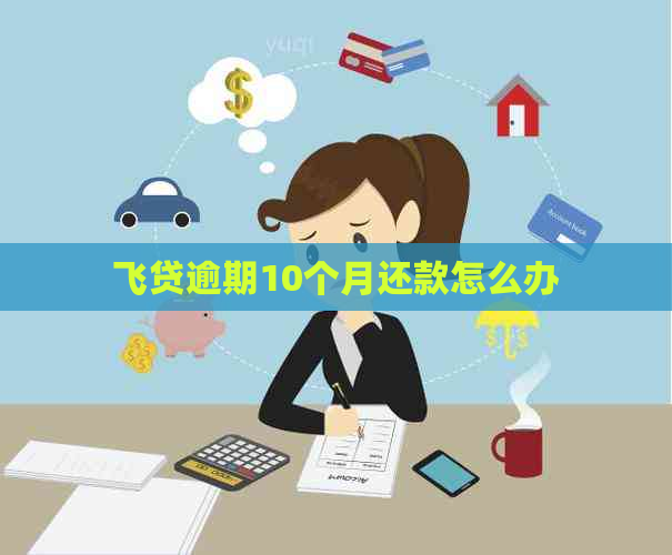 飞贷逾期10个月还款怎么办