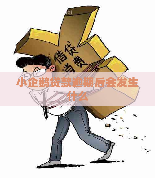 小企鹅贷款逾期后会发生什么
