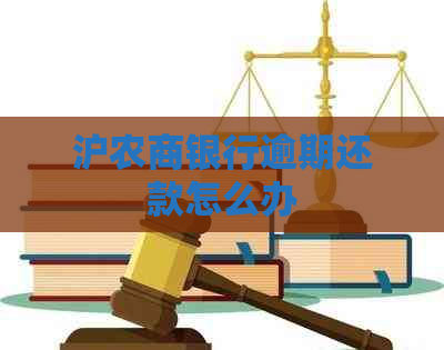 沪农商银行逾期还款怎么办