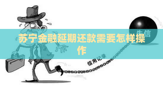 苏宁金融延期还款需要怎样操作