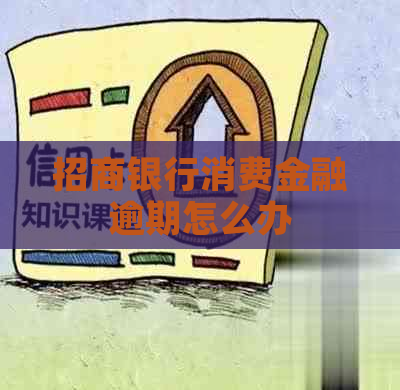 招商银行消费金融逾期怎么办