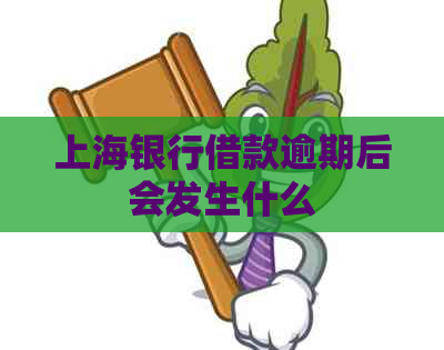 上海银行借款逾期后会发生什么
