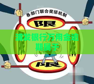 浦发银行万用金逾期属于