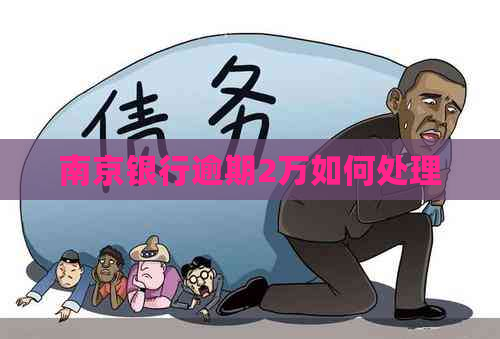 南京银行逾期2万如何处理