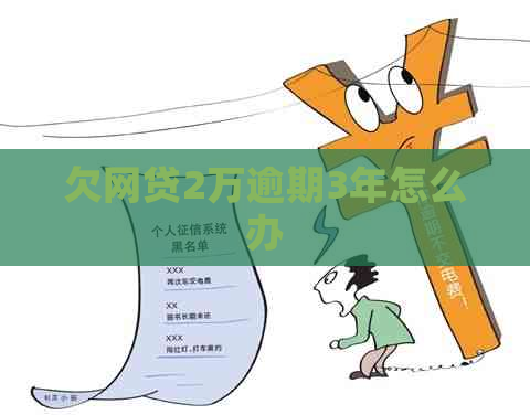 欠网贷2万逾期3年怎么办