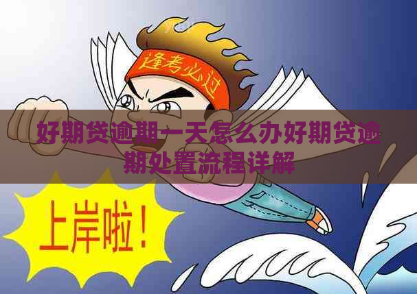 好期贷逾期一天怎么办好期贷逾期处置流程详解