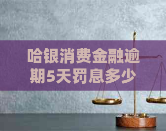 哈银消费金融逾期5天罚息多少钱