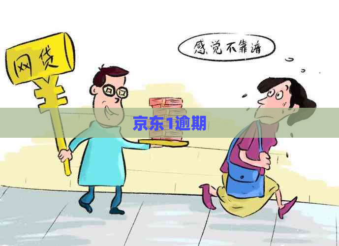 京东1逾期